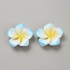 Two Tone Resin Cabochons LS-RESI-WH20010-01E-1