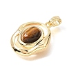 Natural Tiger Eye Pendants KK-N289-01G-2