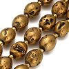 Electroplated Natural Druzy Geode Crystal Beads Strands G-F833-O01-01-3