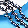 Natural Cultured Freshwater Pearl Beads Strands PEAR-N013-05L-1