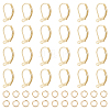 BENECREAT 40Pcs Brass Leverback Earring Findings KK-BC0013-02G-1