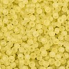 FGB Frosted Transparent Glass Seed Beads SEED-N013-02A-02-3