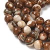 Natural Trochus Shell Beads Strands SH-CBAFEDD-02A-3
