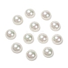 Shell Pearl Beads X-BSHE-N003-12mm-HC301-2