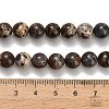 Natural Astroite Jasper Beads Strands G-H329-C02-8mm-5