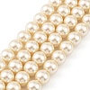 Preciosa® MAXIMA Crystal Nacre Pearls X-PRC-NPA12-77500-2