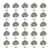 Tibetan Style Alloy Pendants FIND-DC0006-12C-1