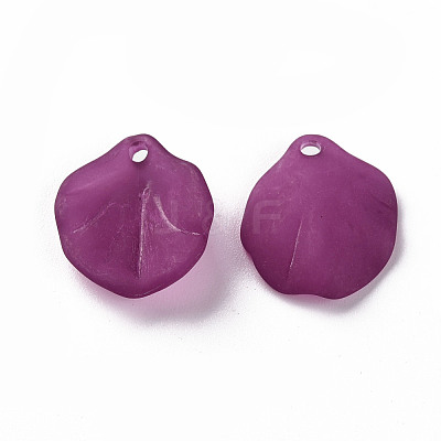 Transparent Frosted Acrylic Pendants MACR-S371-02A-743-1