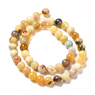 Natural Yellow Opal Beads Strands G-G992-A02-C-1