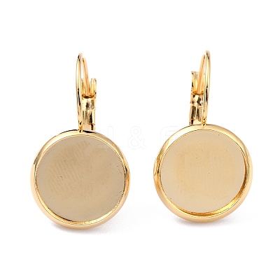 304 Stainless Steel Leverback Earring Settings STAS-F191-03G-18mm-1
