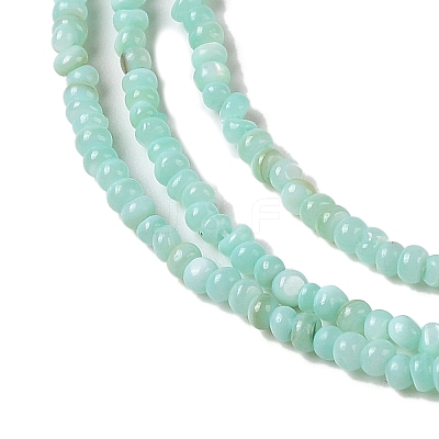 Natural Freshwater Shell Beads Strands SHEL-P017-01A-08-1