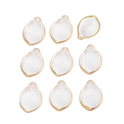 Transparent Acrylic Pendants TACR-D013-01-1