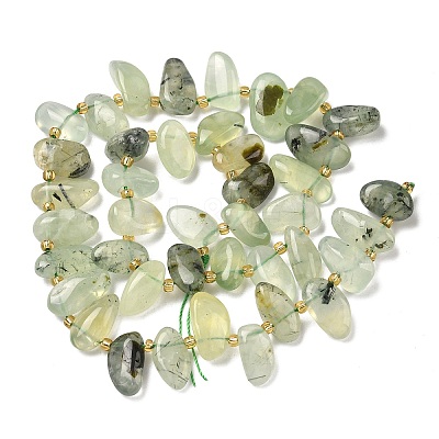Natural Prehnite Beads Strands G-P604-A02-01-1