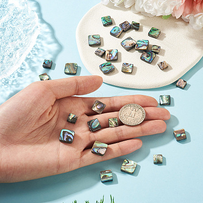 30Pcs 3 Styles Natural Paua Shell Beads BSHE-TA0001-37-1