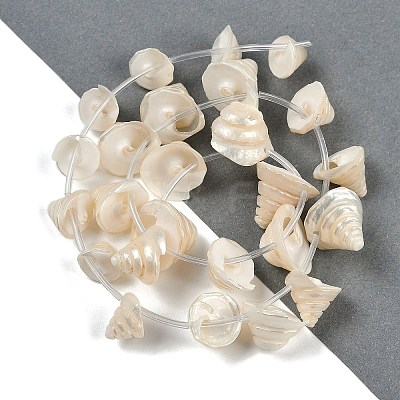 Natural Shell Beads Strands X-SHEL-K009-11-1