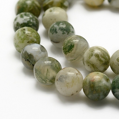 Natural Tree Agate Beads Strands G-K194-10mm-02-1
