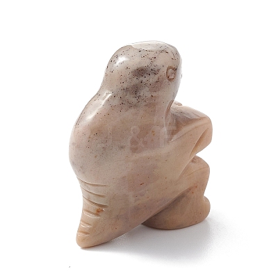 Natural Crazy Agate Display Decoration G-C022-02B-1