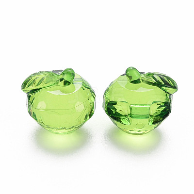 Transparent Acrylic Pendants TACR-T024-05B-925-1