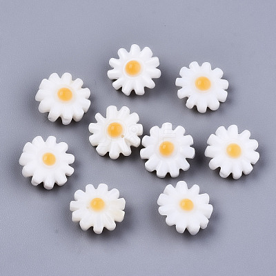 Natural Freshwater Shell Beads SHEL-S266-14B-1