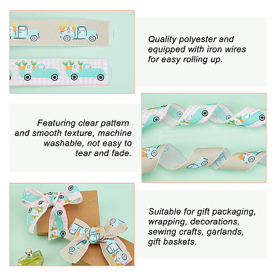 2 Colors Polyester Ribbon OCOR-NB0001-30-1