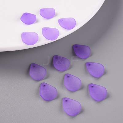 Transparent Frosted Acrylic Pendants MACR-S371-09A-747-1