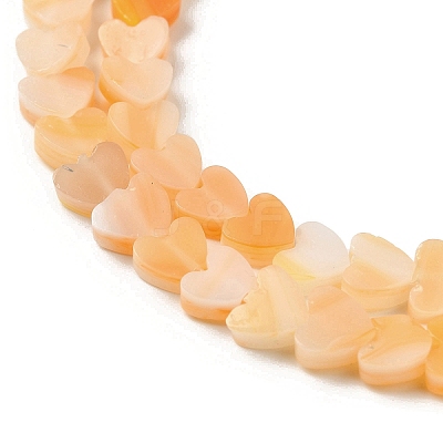 Handmade Lampwork Beads Strands LAMP-Q035-01F-1