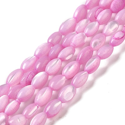 Natural Trochus Shell Beads Strands SHEL-K006-19A-1