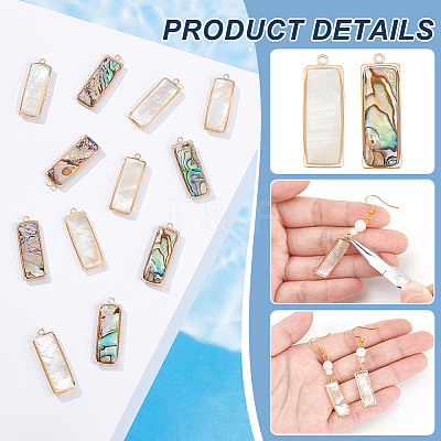 12Pcs 2 Styles Natural Paua Shell/Abalone Shell Pendants FIND-BC0013-35-1