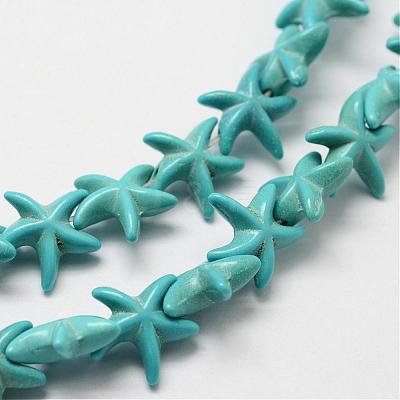 Synthetic Howlite Bead Strand G-P228-16-1