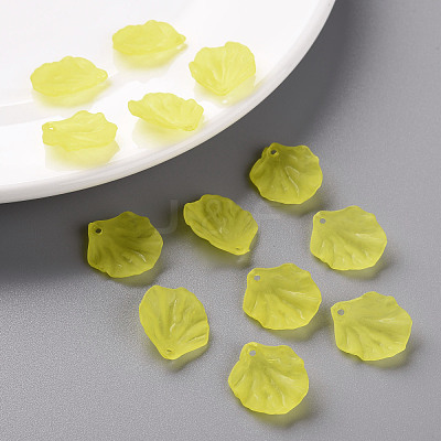 Transparent Frosted Acrylic Pendants MACR-S371-01A-717-1