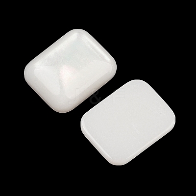 Opaque Resin Decoden Cabochons CRES-I036-09B-1