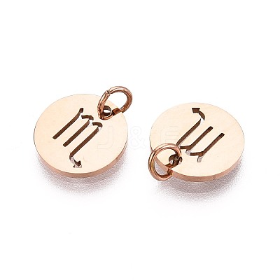 304 Stainless Steel Charms STAS-Q201-T445-8R-1
