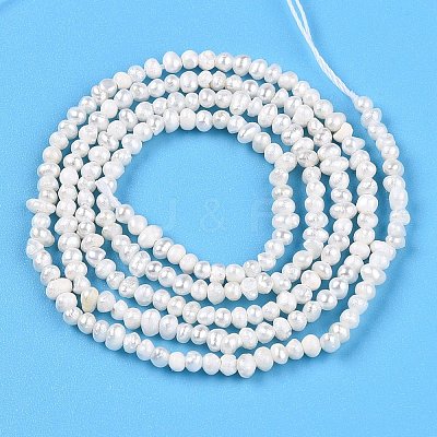Natural Cultured Freshwater Pearl Beads Strands PEAR-N013-01-1