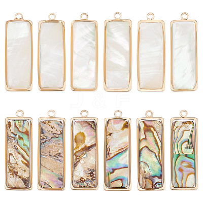 12Pcs 2 Styles Natural Paua Shell/Abalone Shell Pendants FIND-BC0013-35-1