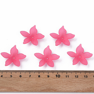Transparent Acrylic Beads X-MACR-S373-127-D-1