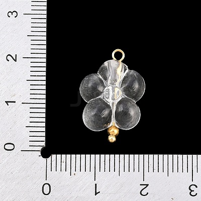 Transparent Acrylic & Stainless Steel Pendants TACR-G051-01G-01-1