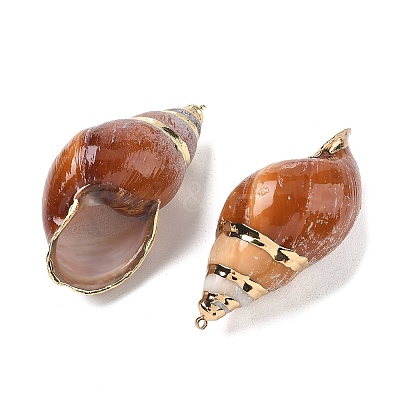 Natural Spiral Conch Shell Big Pendants SH-CBACA76-10-1