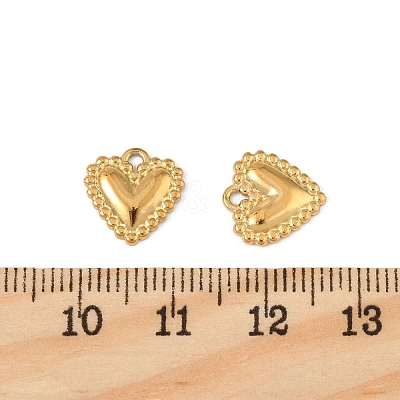 304 Stainless Steel Charms X-STAS-P396-06G-1