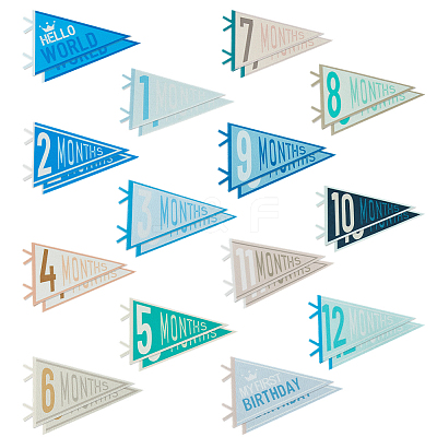 14Pcs Felt Baby Monthly Milestone Pennant Flags DIY-WH0899-496-1