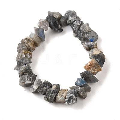 Natural Labradorite Beads Strands G-I283-F14-1