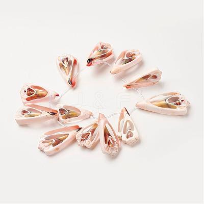Natural Shell Beads Strands SSHEL-G018-03-1