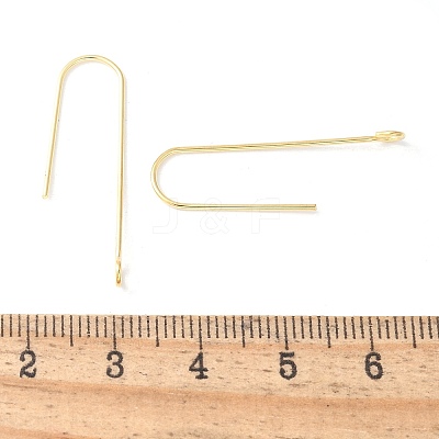 316 Surgical Stainless Steel Earring Hooks X-STAS-Z124-02D-G-1