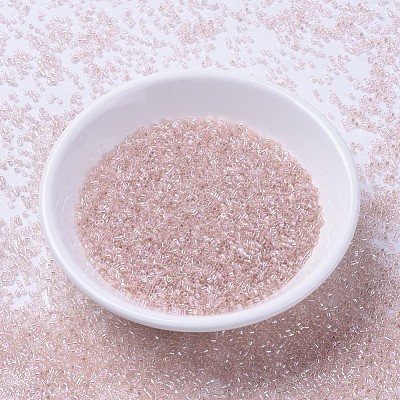 MIYUKI Delica Beads SEED-X0054-DB1243-1