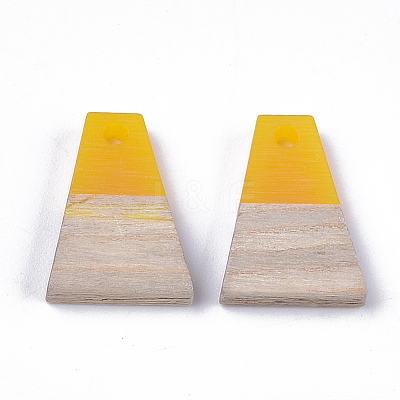 Resin & Wood Pendants RESI-S358-52C-1