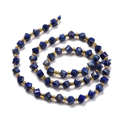 Natural Lapis Lazuli Beads Strands G-P463-25-1