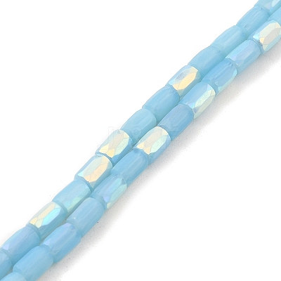 Frosted Opaque Glass Beads Strands GLAA-P058-07A-06-1