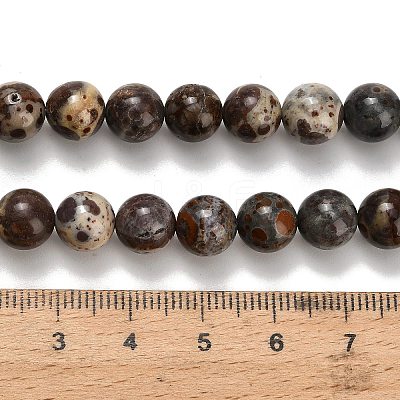 Natural Astroite Jasper Beads Strands G-H329-C02-8mm-1