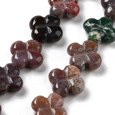 Natural Indian Agate Beads Strands G-P520-A04-01-1