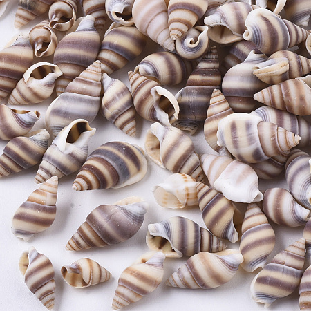 Natural Spiral Shell Beads SSHEL-S258-84-1