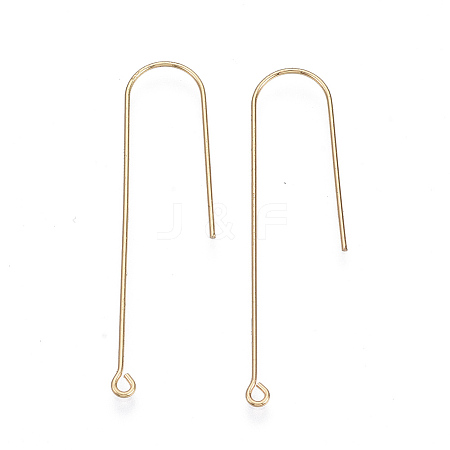 Brass Earring Hooks LS-X-KK-N231-53-NF-1